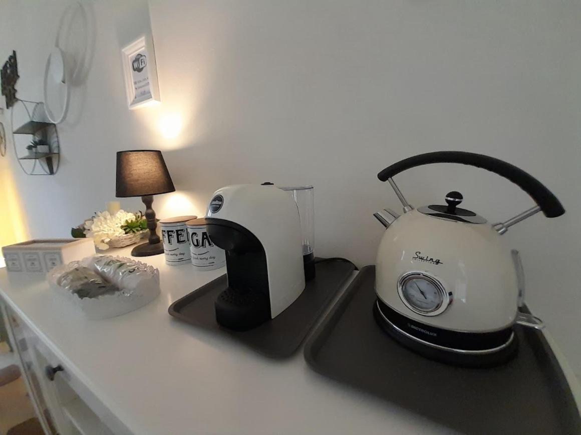 B&B Villino Luschi Pisa Centro 외부 사진
