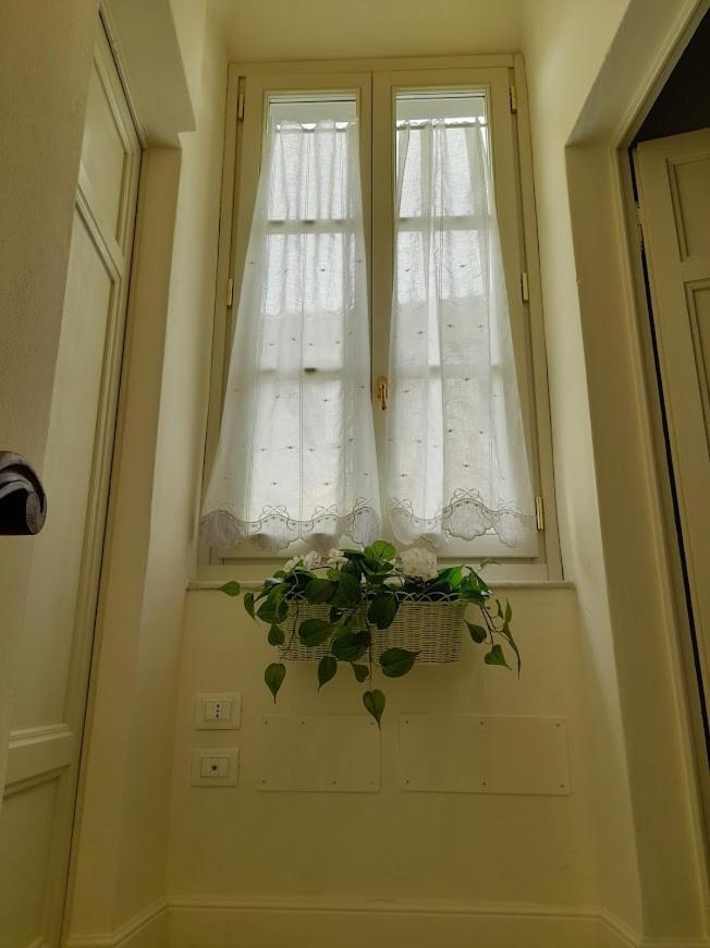 B&B Villino Luschi Pisa Centro 외부 사진