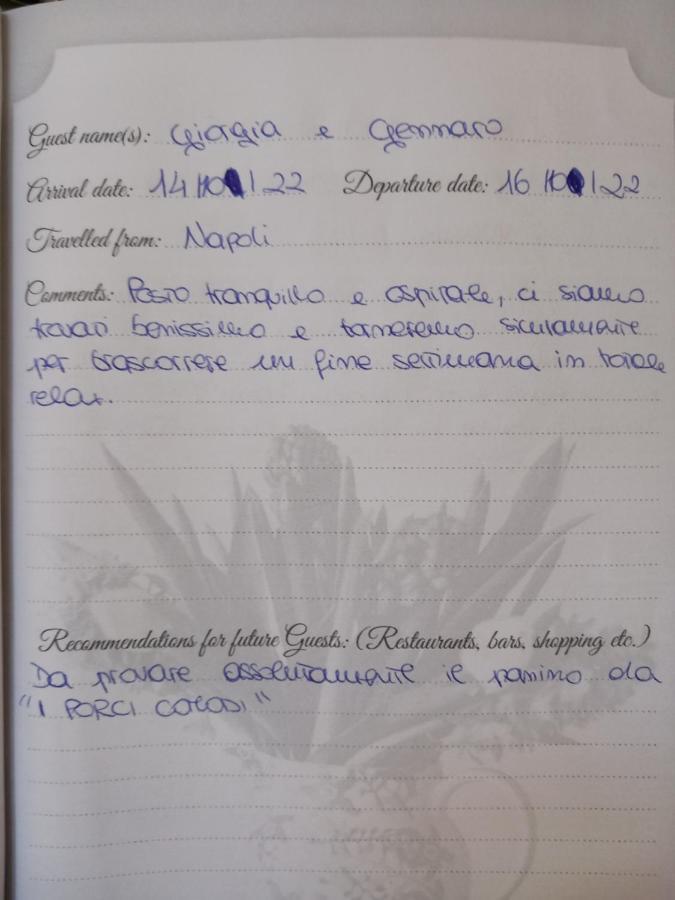 B&B Villino Luschi Pisa Centro 외부 사진